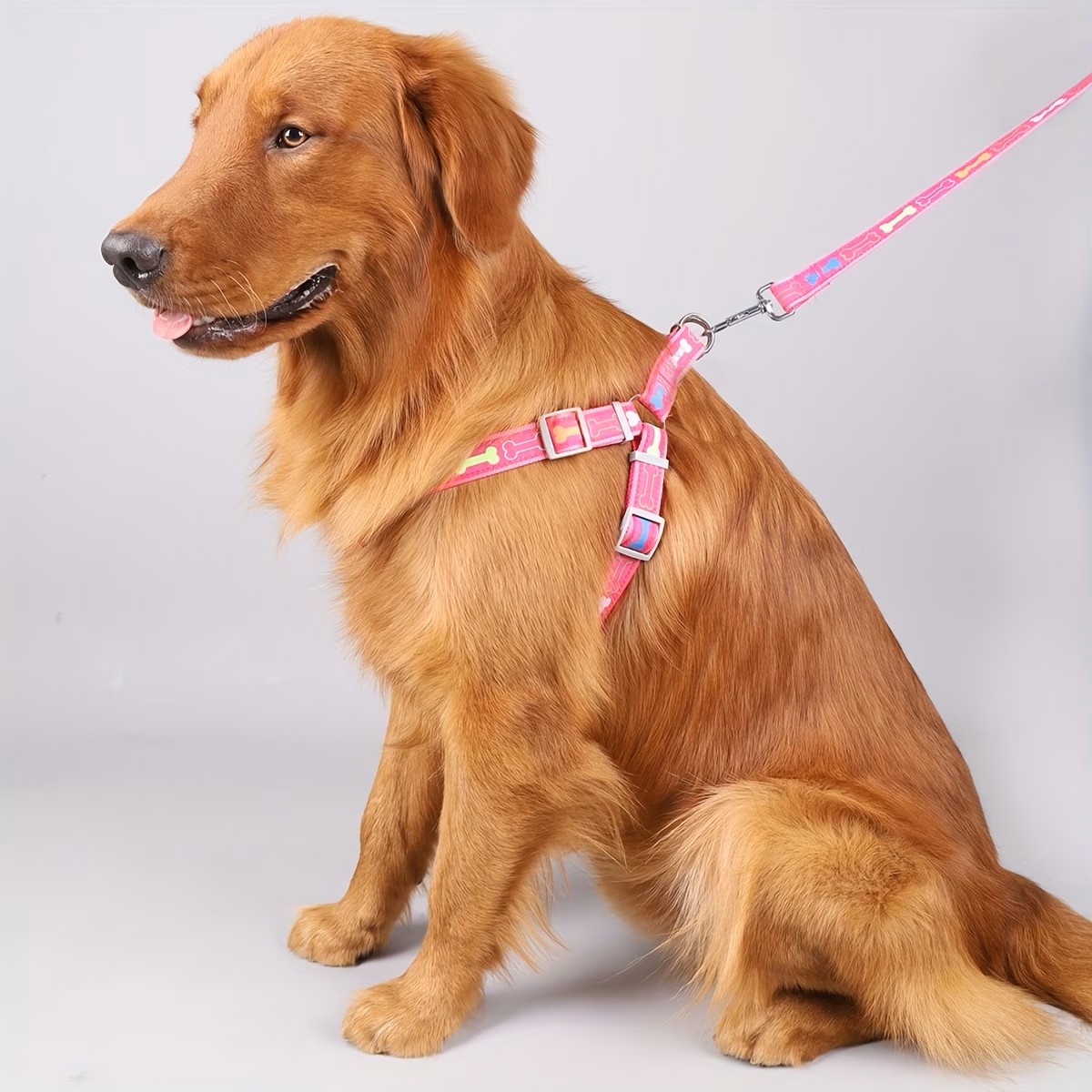 Coleira Peitoral Ajustável par - D Ring Strap avaliação e preço