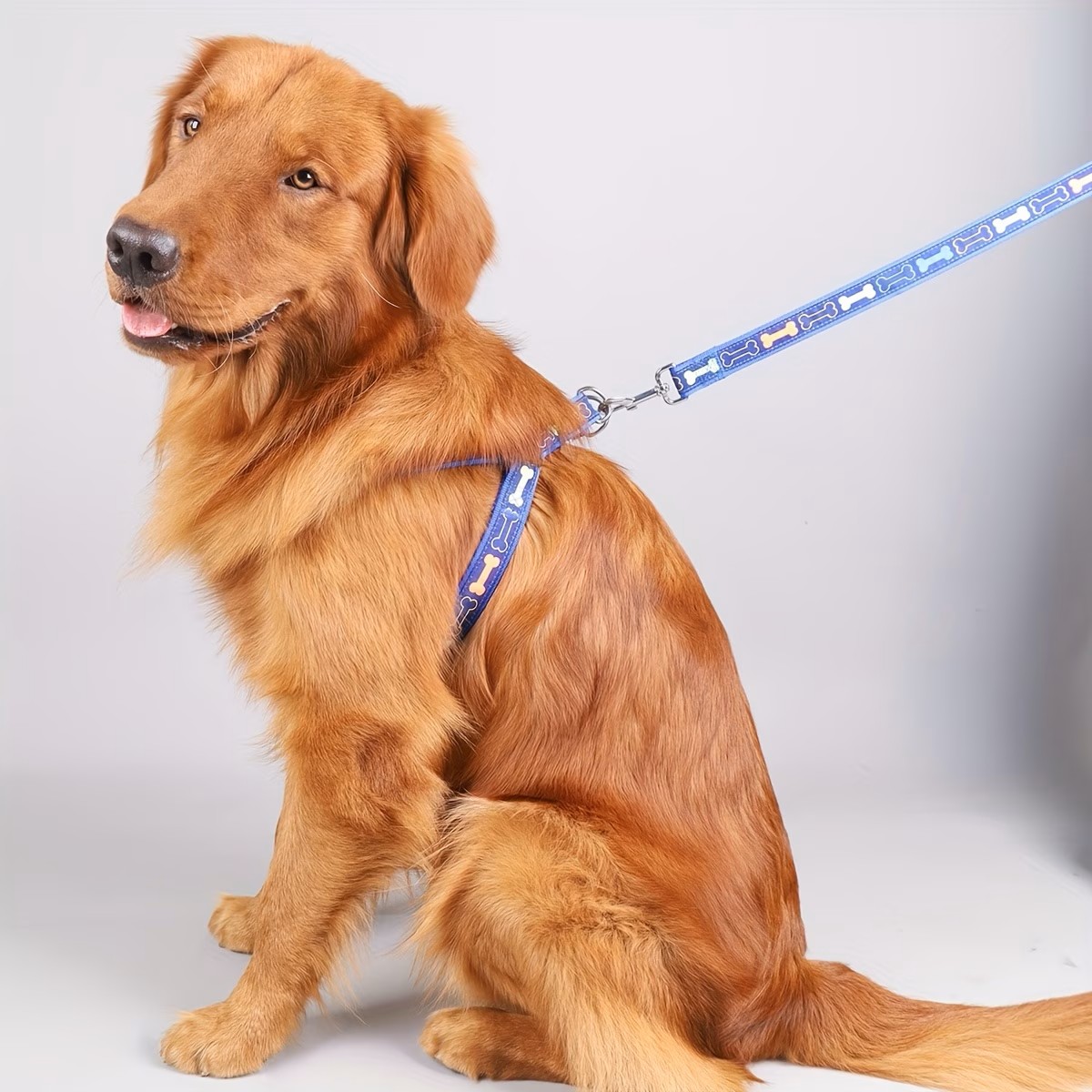 Coleira Peitoral Ajustável par - D Ring Strap avaliação e preço