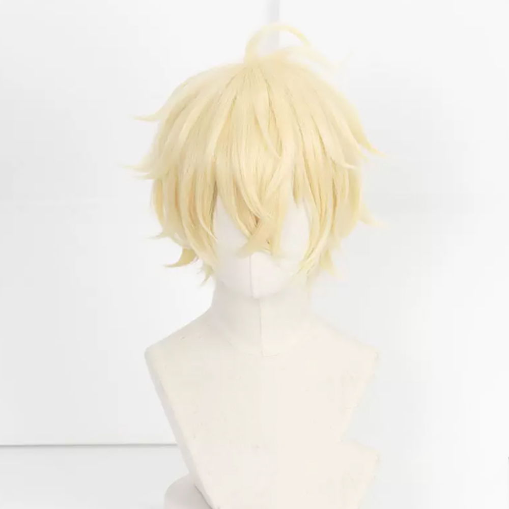 HAIRJOY Peruca de Cosplay Sint - Wig Fiber Net avaliação e preço