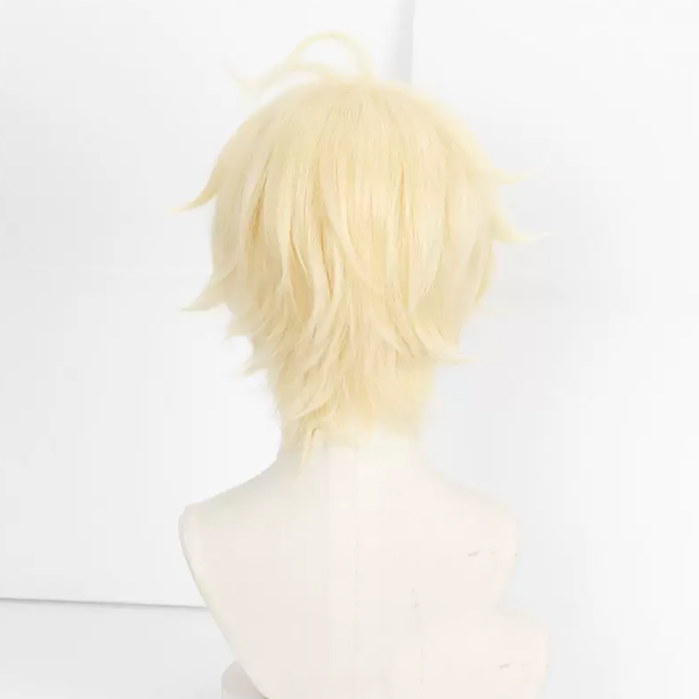 HAIRJOY Peruca de Cosplay Sint - Wig Fiber Net avaliação e preço
